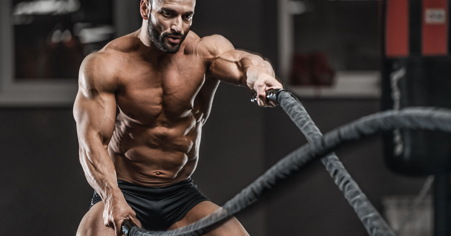 DHEA and Testosterone: The Natural Precursor Every Bodybuilder Should Know