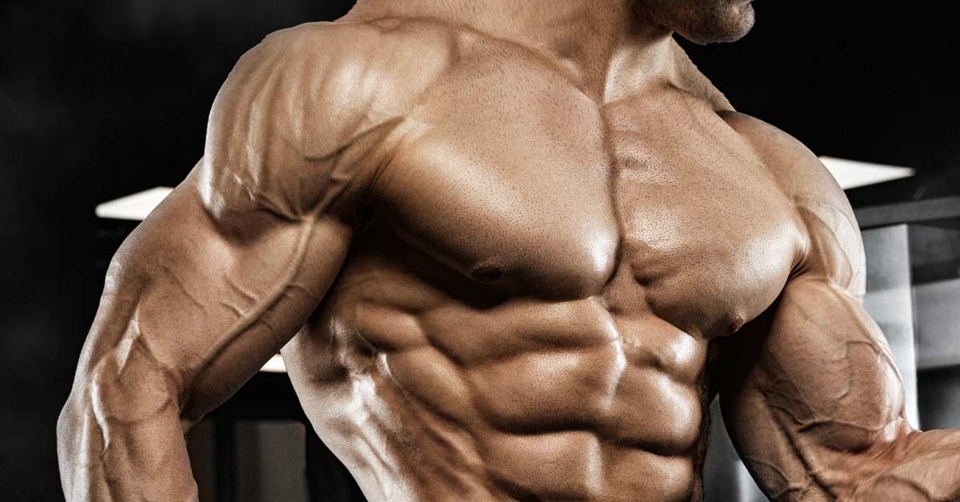 How Elite Bodybuilders Structure Their Annual Competition Calendar