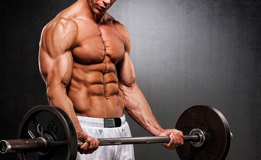 Rep Ranges Decoded: What Actually Builds the Most Muscle
