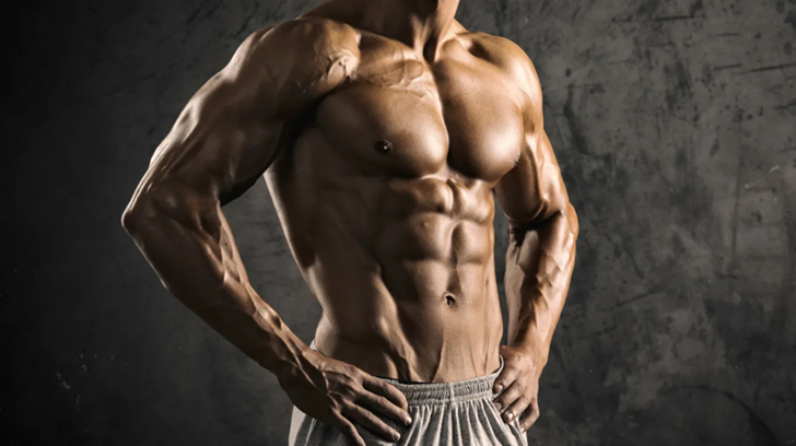 The Role of Testosterone in Muscle Development