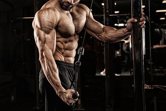 The Best Training Splits for Maximum Gains