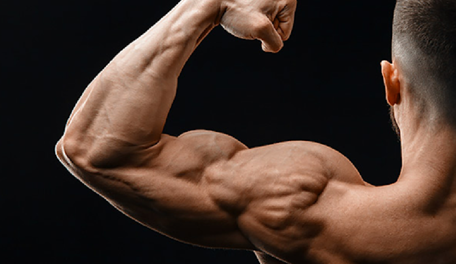 The Secret to Toned Arms: Moving Beyond Bicep Curls