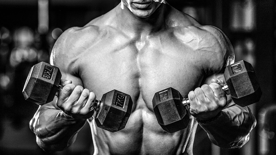 The Role of Post-Cycle Therapy (PCT) in Maintaining Gains