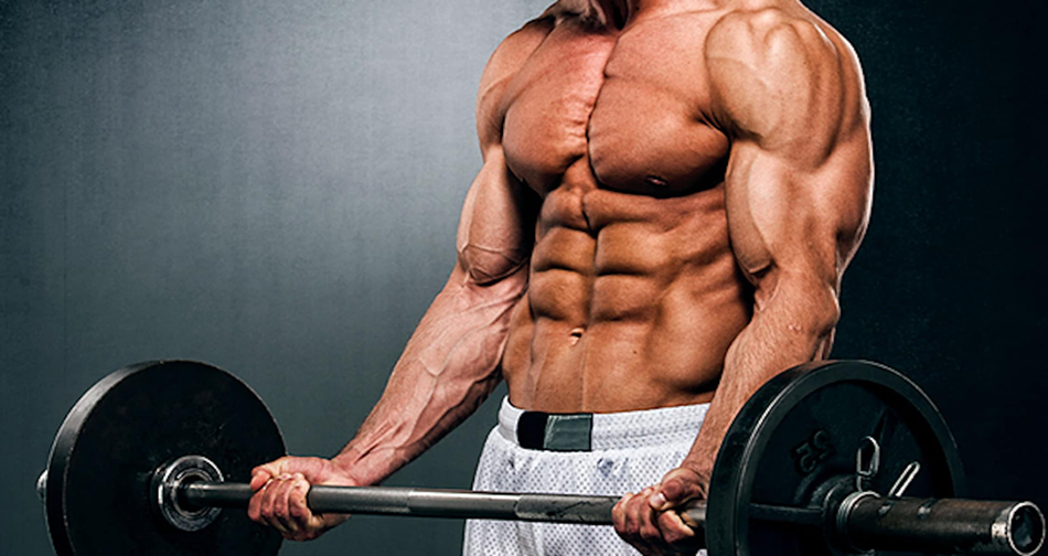 How Gut Health Directly Affects Supplement Absorption and Performance